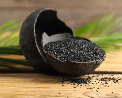 Coconut Shell Charcoal Powder